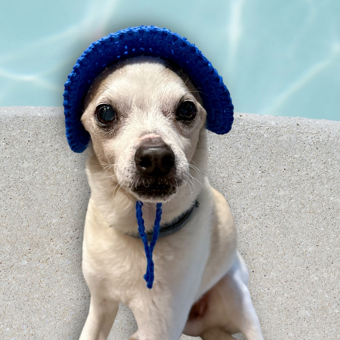 Doggie Bucket Hat