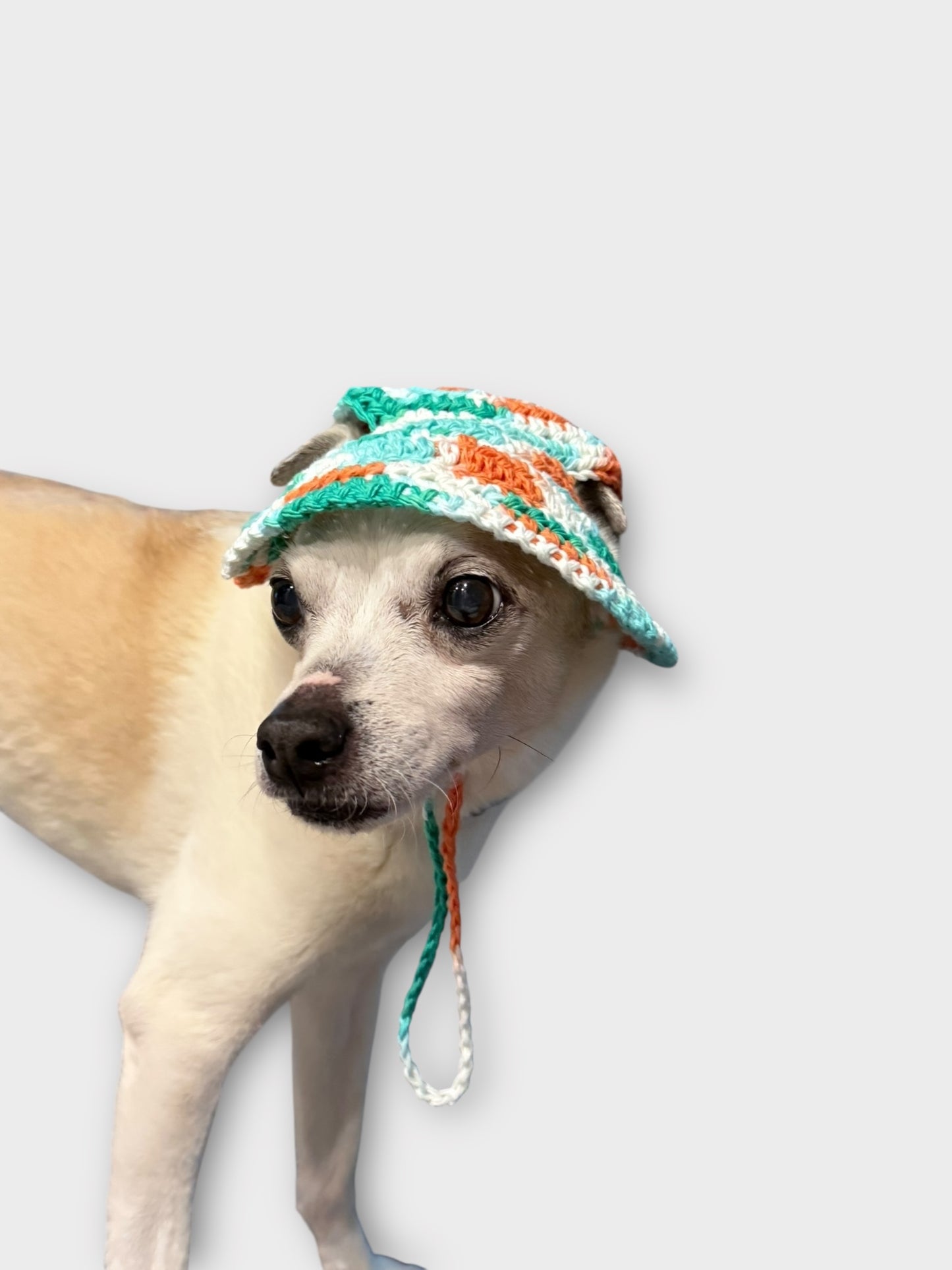 Doggie Bucket Hat