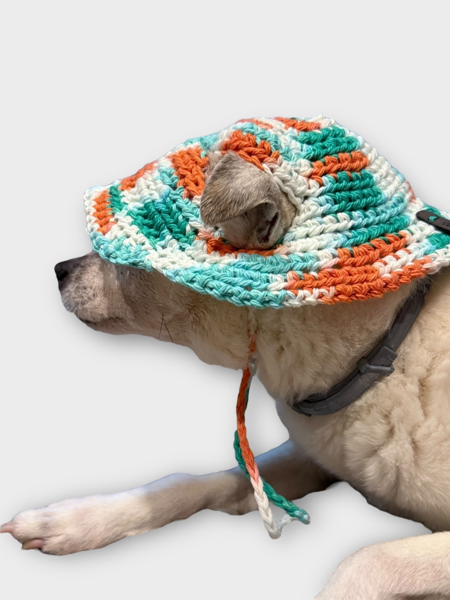 Doggie Bucket Hat