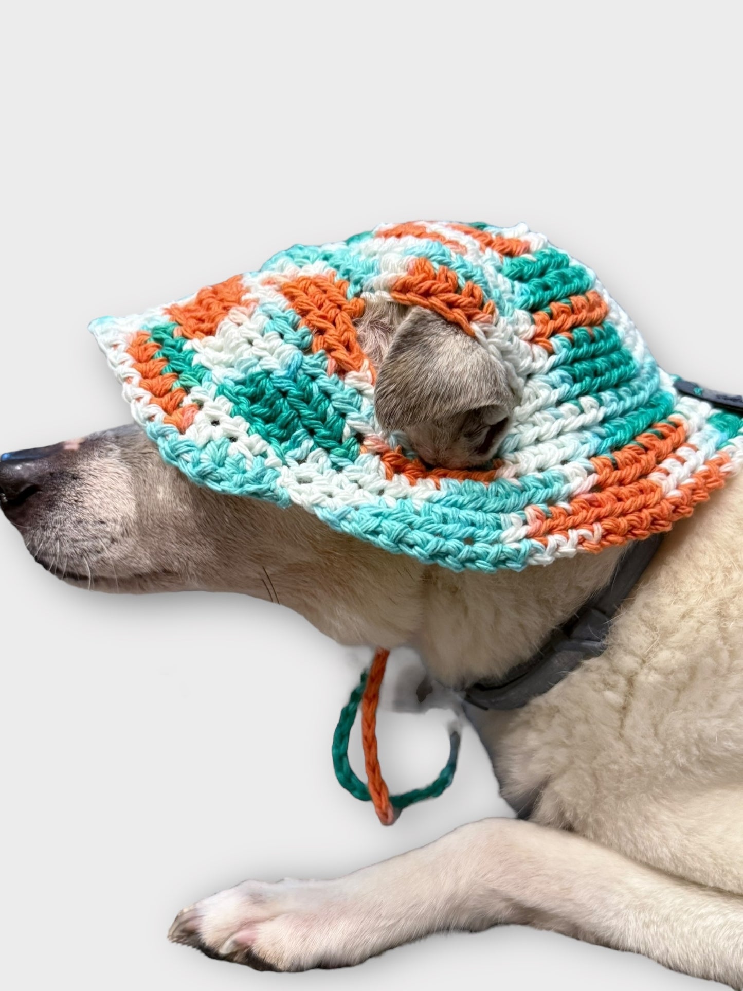 Doggie Bucket Hat