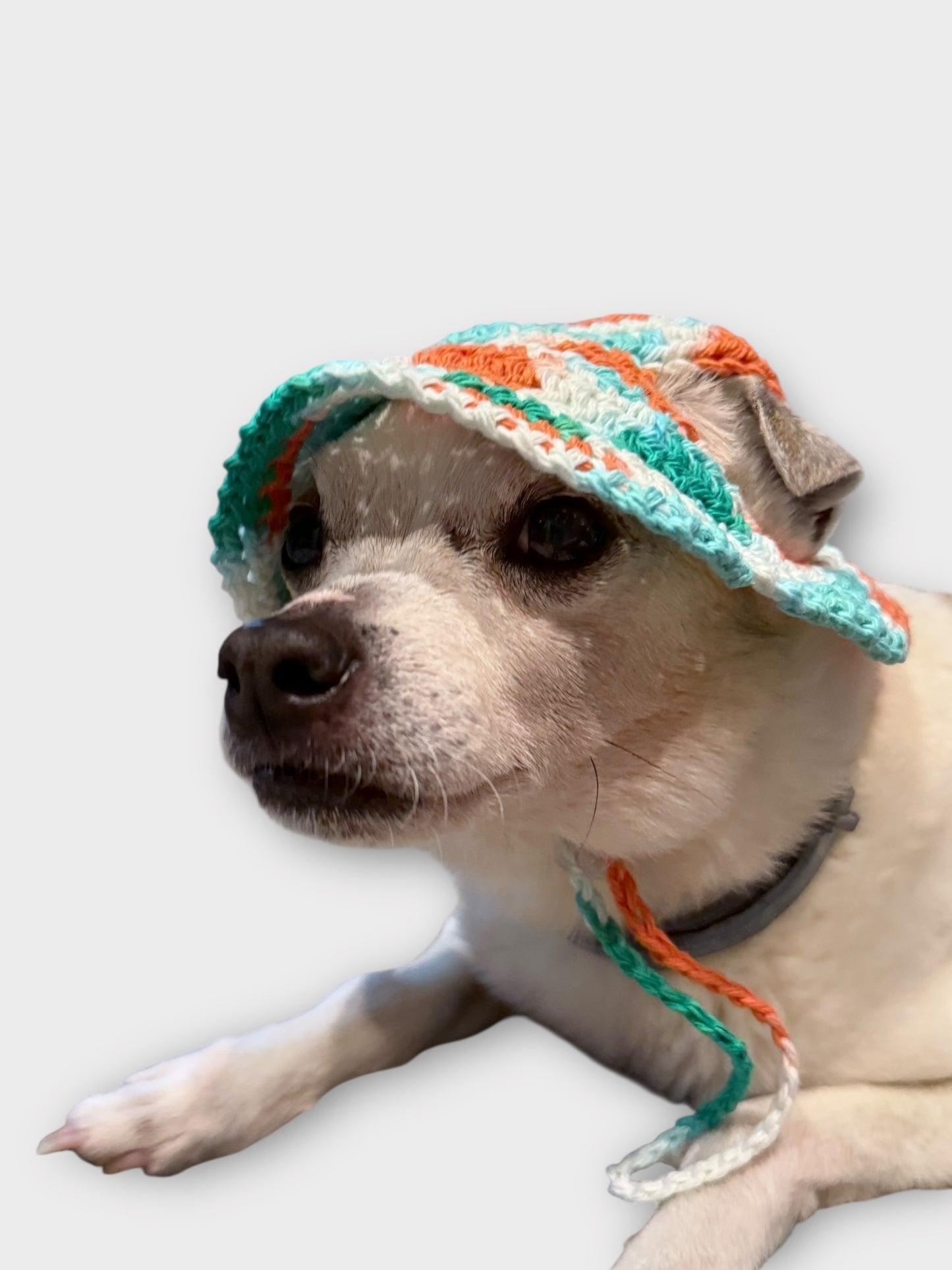 Doggie Bucket Hat